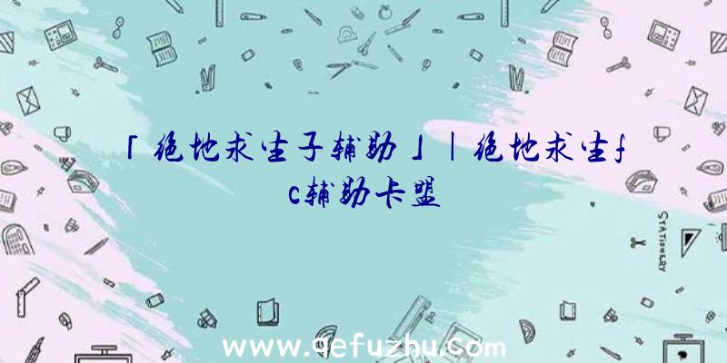 「绝地求生子辅助」|绝地求生fc辅助卡盟